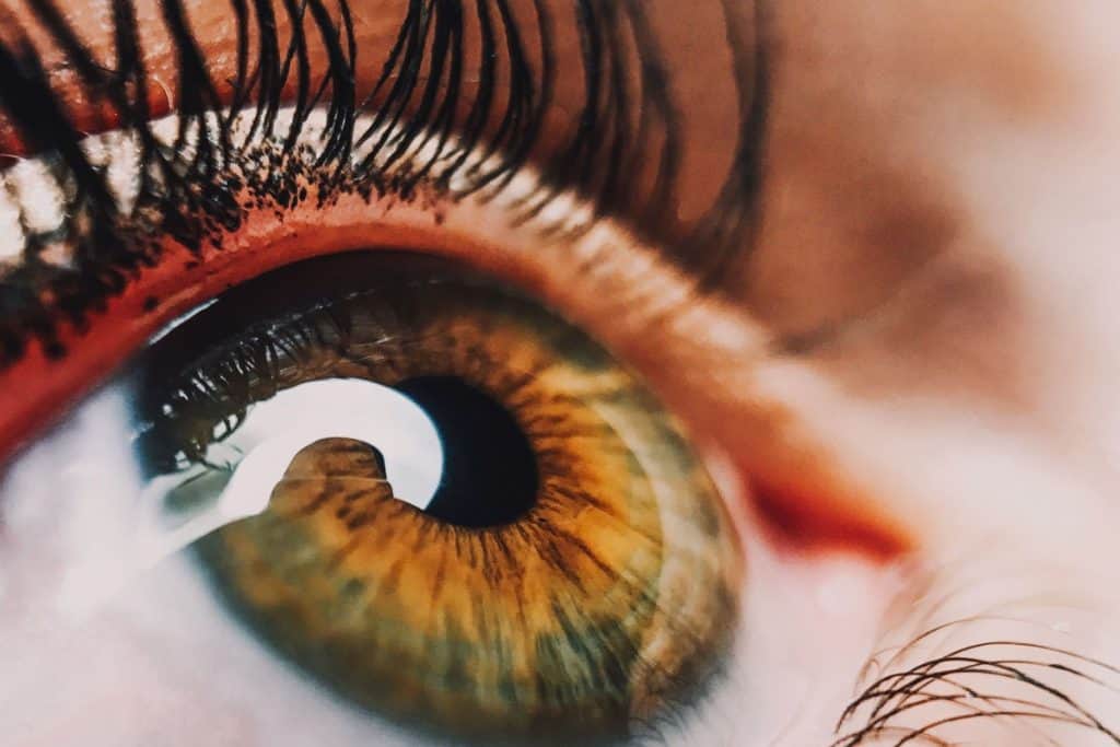 Visoptic DUO - tabletten om het gezichtsvermogen te verbeteren