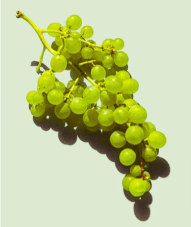 Revamin Acne Cream sastāvā ir vīnogu kauliņu eļļa.